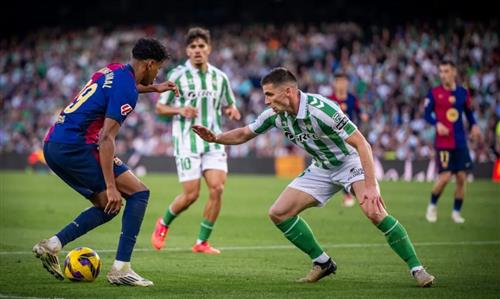 Ultimate Guide to 1xbet Betting